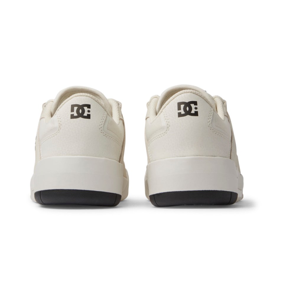 Basket DC Shoes France Metric Blanche Homme | VHZ-1028288