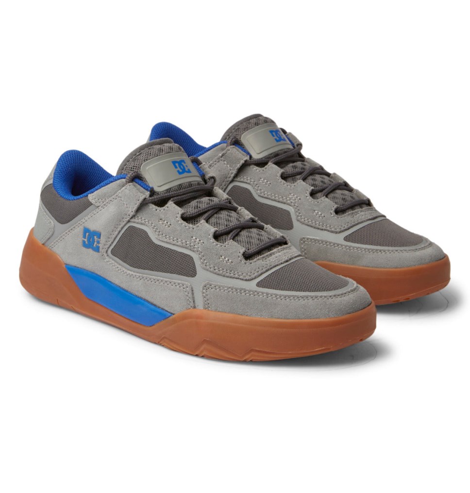 Chaussure Skate DC Shoes France Metric Grise Homme | SMN-2391632