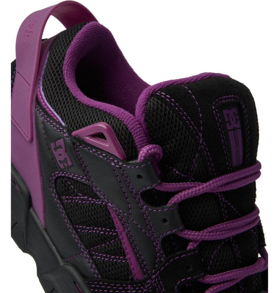 Basket DC Shoes France Spectre Needles Noir Violette Homme | TBO-5406849