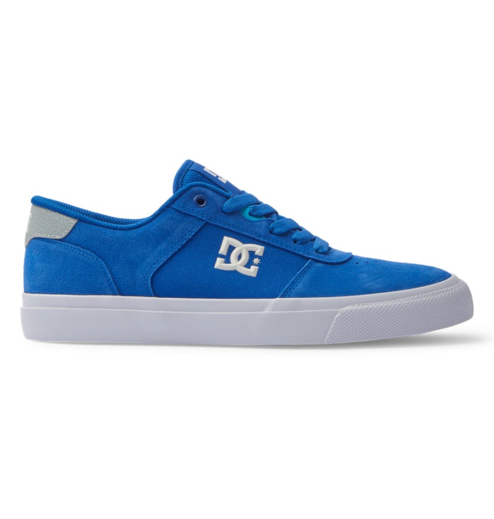 Basket DC Shoes France Teknic Bleu Blanche Homme | YVD-4649991