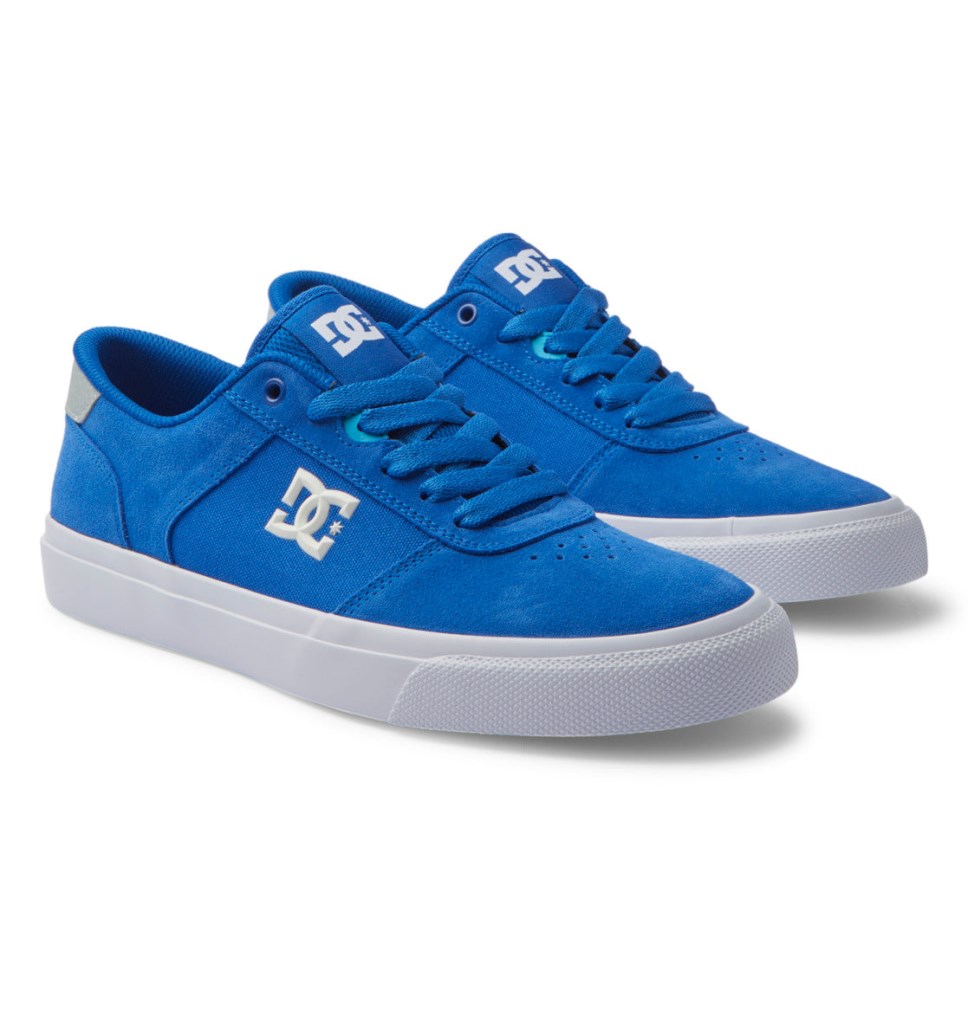 Basket DC Shoes France Teknic Bleu Blanche Homme | YVD-4649991