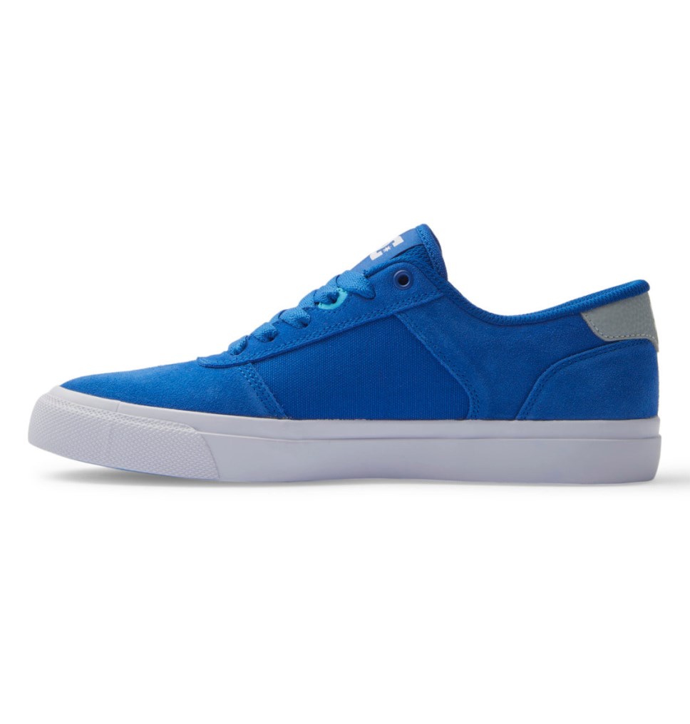 Basket DC Shoes France Teknic Bleu Blanche Homme | YVD-4649991