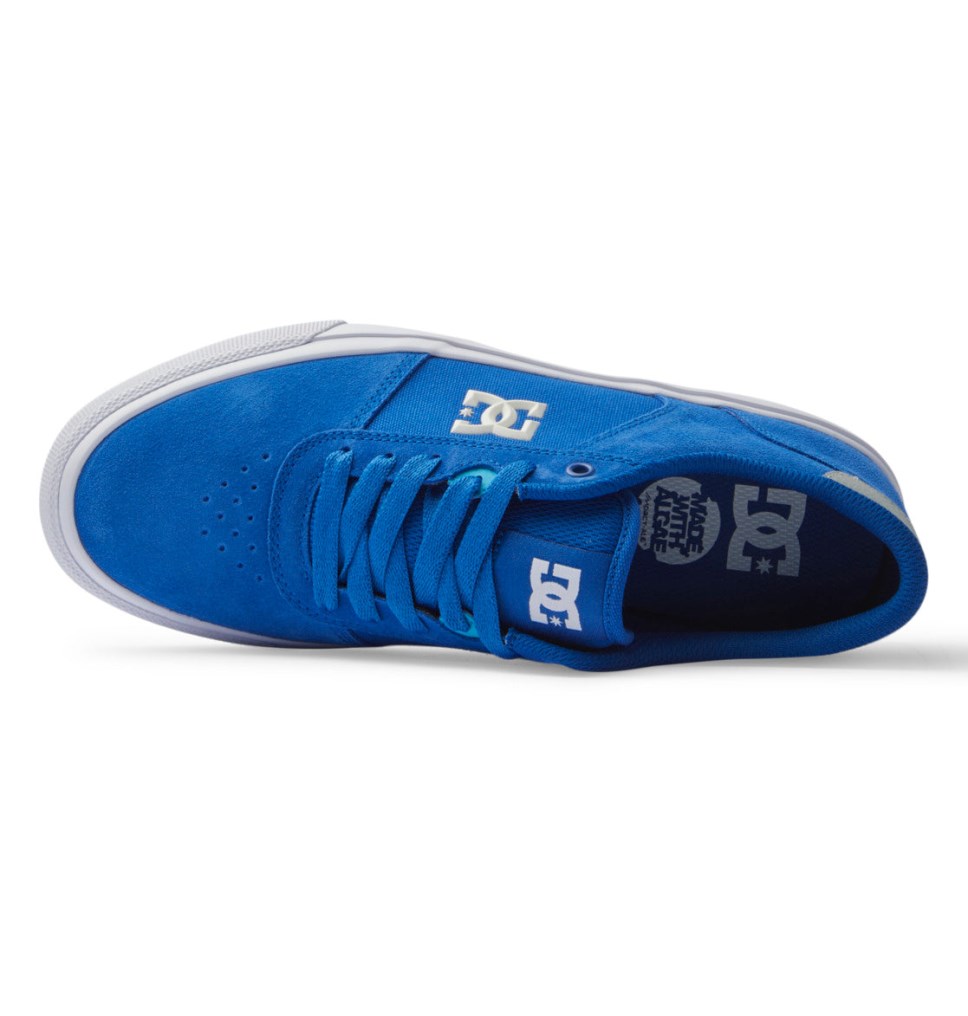 Basket DC Shoes France Teknic Bleu Blanche Homme | YVD-4649991