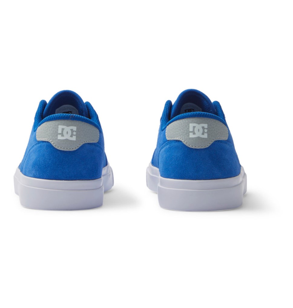 Basket DC Shoes France Teknic Bleu Blanche Homme | YVD-4649991