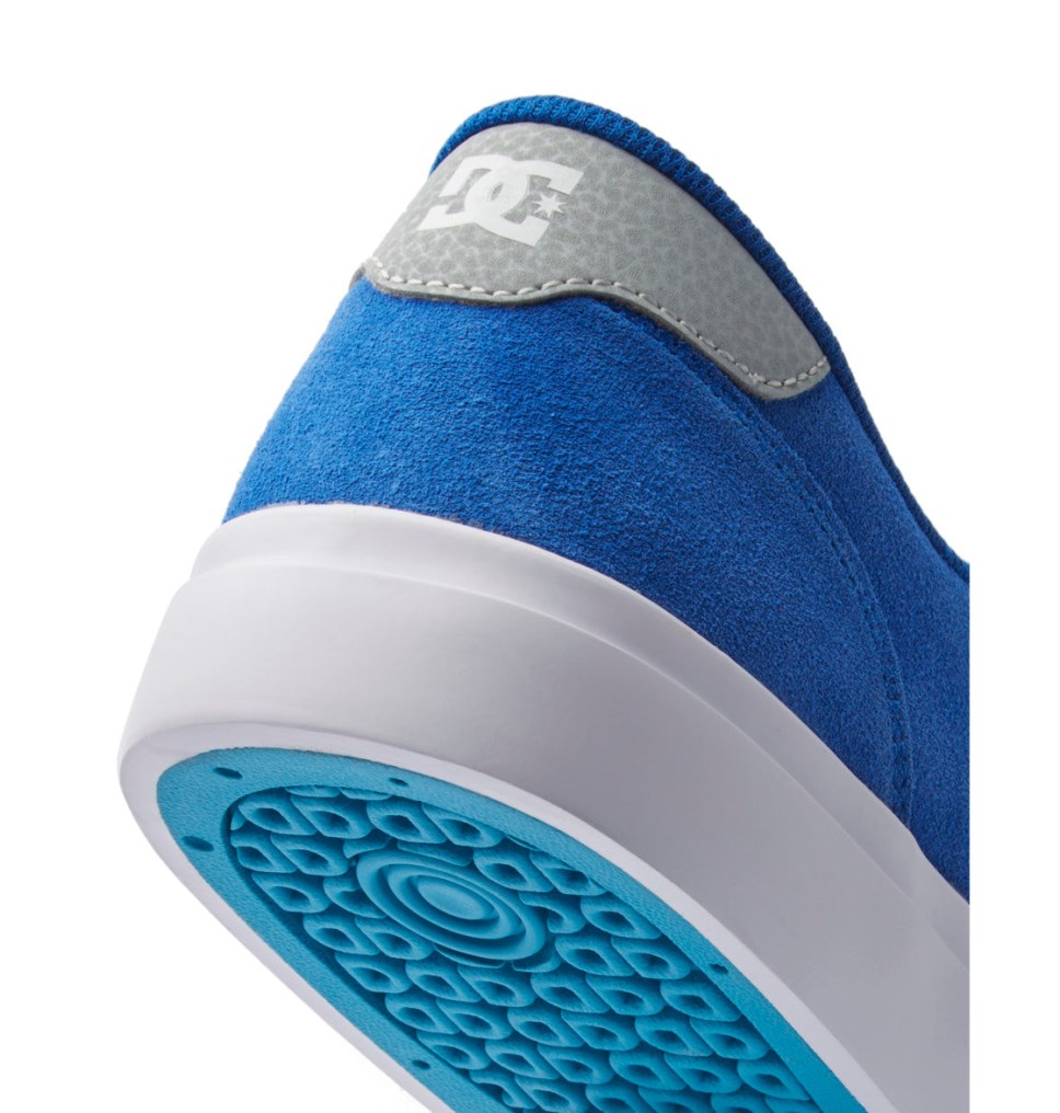 Basket DC Shoes France Teknic Bleu Blanche Homme | YVD-4649991