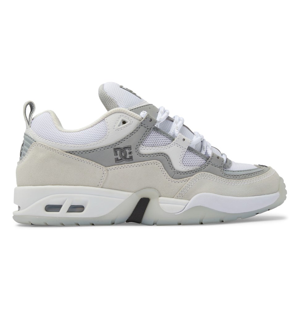 Basket DC Shoes France Truth OG Blanche Grise Homme | QBD-6295091