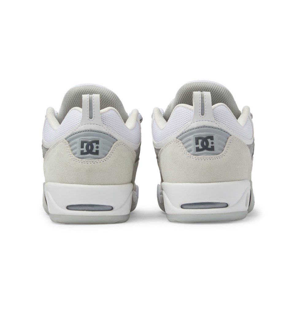 Basket DC Shoes France Truth OG Blanche Grise Homme | QBD-6295091