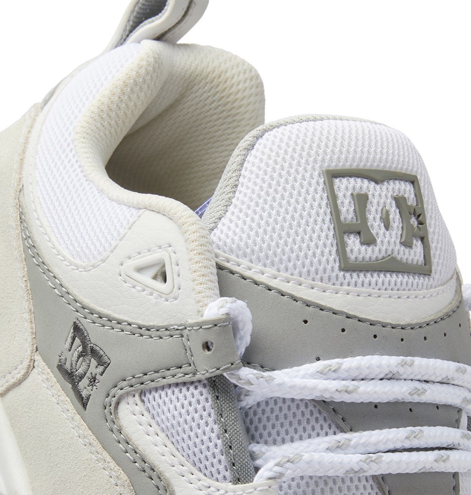 Basket DC Shoes France Truth OG Blanche Grise Homme | QBD-6295091