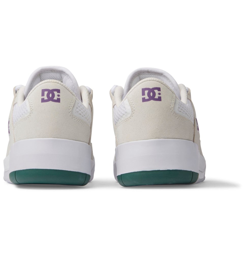 Basket DC Shoes France Metric S X Ish Cepeda Blanche Violette Homme | OBJ-1201023